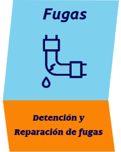 Detección y Reparación